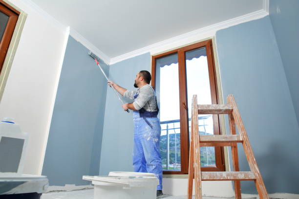 Best Attic Mold Removal  in Melbourne Beach, FL